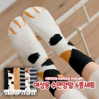 ���潺Ʈ�� ������ ����縻 6����Ʈ