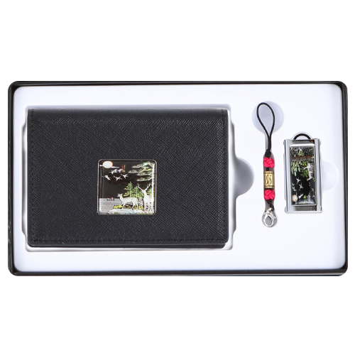 ä������� �ڰ��Ұ��� ��������+�ڰ� USB